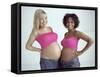 Pregnant Women-Ian Boddy-Framed Stretched Canvas