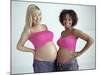 Pregnant Women-Ian Boddy-Mounted Photographic Print