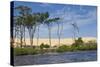 Preguicas River at Lencois Maranheinses National Park, Brazil-Guido Cozzi-Stretched Canvas