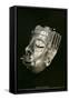 Prehispanic Gold Mask, Oaxaca, Mexico-null-Framed Stretched Canvas