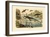 Prehistoric Animals, 1833-39-null-Framed Giclee Print