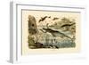 Prehistoric Animals, 1833-39-null-Framed Giclee Print