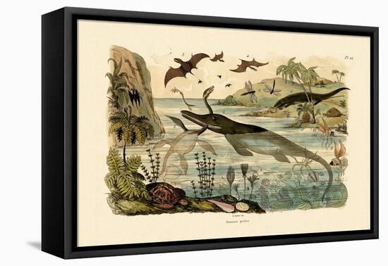 Prehistoric Animals, 1833-39-null-Framed Stretched Canvas