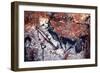 Prehistoric Art: Scene of the Well: a Man with a Bird Head and Seems to Fall or Being Pushed by a B-Prehistoric Prehistoric-Framed Giclee Print