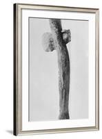 Prehistoric Axe on Display-null-Framed Photographic Print