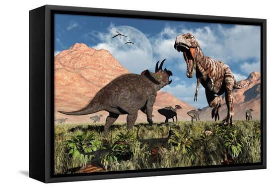 Stretched Canvas Print, , large