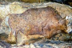 Bison in Font De Gaume, c.25,000 B.C.-Prehistoric-Photographic Print