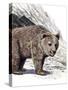 Prehistoric Cave Bear-null-Stretched Canvas