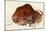 Prehistoric Cave Painting of a Charging Buffalo, Altamira, Spain-null-Mounted Giclee Print