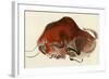 Prehistoric Cave Painting of a Charging Buffalo, Altamira, Spain-null-Framed Giclee Print