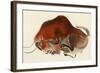 Prehistoric Cave Painting of a Charging Buffalo, Altamira, Spain-null-Framed Giclee Print