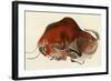 Prehistoric Cave Painting of a Charging Buffalo, Altamira, Spain-null-Framed Giclee Print