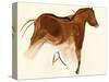 Prehistoric Cave Painting of a Horse with Foal, Altamira, Spain-null-Stretched Canvas