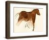 Prehistoric Cave Painting of a Horse with Foal, Altamira, Spain-null-Framed Giclee Print