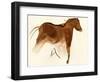 Prehistoric Cave Painting of a Horse with Foal, Altamira, Spain-null-Framed Giclee Print