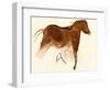 Prehistoric Cave Painting of a Horse with Foal, Altamira, Spain-null-Framed Giclee Print