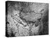 Prehistoric Cave Painting of a Hunting Scene-Ralph Morse-Stretched Canvas