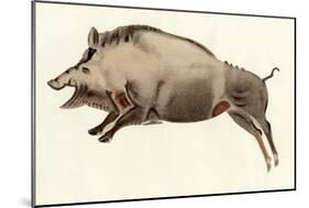 Prehistoric Cave Painting of a Wild Boar, Altamira, Spain-null-Mounted Giclee Print