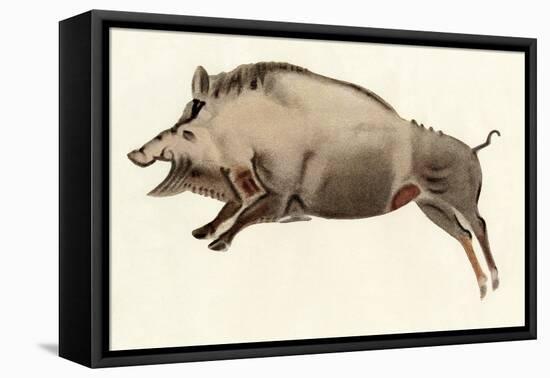 Prehistoric Cave Painting of a Wild Boar, Altamira, Spain-null-Framed Stretched Canvas