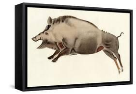 Prehistoric Cave Painting of a Wild Boar, Altamira, Spain-null-Framed Stretched Canvas