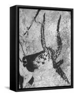 Prehistoric Cave Painting of an Animal-Ralph Morse-Framed Stretched Canvas