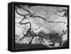 Prehistoric Cave Painting of an Animal-Ralph Morse-Framed Stretched Canvas