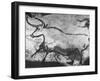 Prehistoric Cave Painting of an Animal-Ralph Morse-Framed Photographic Print