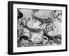 Prehistoric Cave Painting of Animals-Ralph Morse-Framed Photographic Print