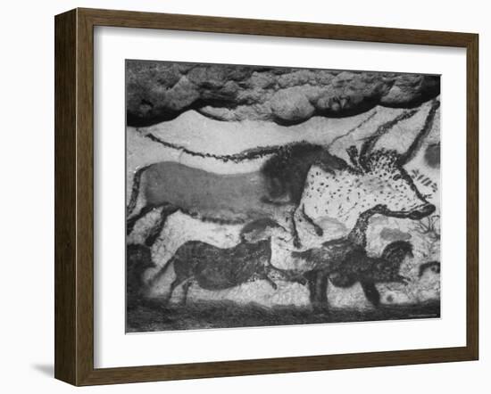 Prehistoric Cave Painting of Animals-Ralph Morse-Framed Photographic Print