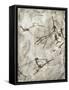 Prehistoric Cave Painting-Kennis and Kennis-Framed Stretched Canvas