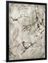 Prehistoric Cave Painting-Kennis and Kennis-Framed Photographic Print