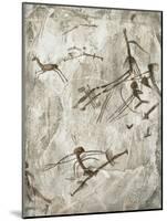 Prehistoric Cave Painting-Kennis and Kennis-Mounted Photographic Print