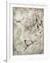 Prehistoric Cave Painting-Kennis and Kennis-Framed Photographic Print