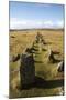 Prehistoric Ceremonial Lines of Stones-David-Mounted Photographic Print