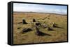 Prehistoric Ceremonial Lines of Stones-David-Framed Stretched Canvas