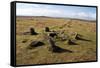 Prehistoric Ceremonial Lines of Stones-David-Framed Stretched Canvas