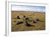 Prehistoric Ceremonial Lines of Stones-David-Framed Photographic Print