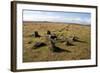 Prehistoric Ceremonial Lines of Stones-David-Framed Photographic Print