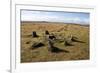 Prehistoric Ceremonial Lines of Stones-David-Framed Photographic Print