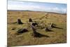 Prehistoric Ceremonial Lines of Stones-David-Mounted Photographic Print