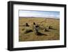 Prehistoric Ceremonial Lines of Stones-David-Framed Photographic Print