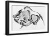 Prehistoric Drawing of a Bison-null-Framed Giclee Print