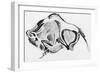 Prehistoric Drawing of a Bison-null-Framed Giclee Print