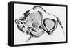 Prehistoric Drawing of a Bison-null-Framed Stretched Canvas