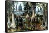 Prehistoric, Eocene Landscape-Science Source-Framed Stretched Canvas