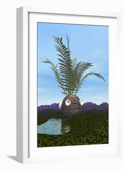 Prehistoric Era Cycadeoidea Tree-Stocktrek Images-Framed Art Print