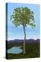 Prehistoric Era Glossopteris Tree-Stocktrek Images-Stretched Canvas