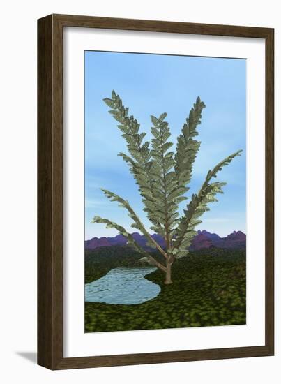 Prehistoric Era Pachypteris Tree-Stocktrek Images-Framed Art Print