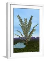 Prehistoric Era Pachypteris Tree-Stocktrek Images-Framed Art Print