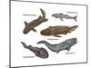 Prehistoric Fishes, Illustration-Gwen Shockey-Mounted Art Print